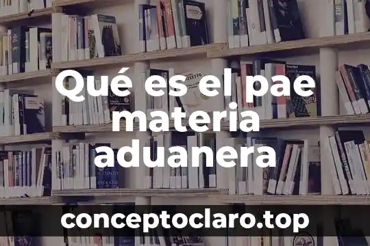 Qué es el pae materia aduanera