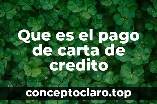 Que es el pago de carta de credito