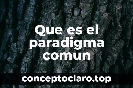 Que es el paradigma comun