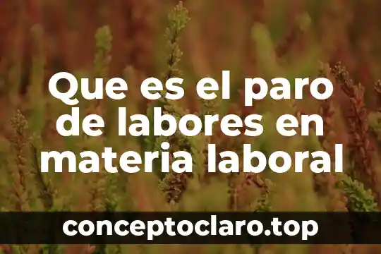 Qué es motivación laboral concepto 8 Que es el paro de labores en materia laboral
