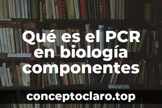 Que es ser tacitamente 6 Qué es el PCR en biología componentes