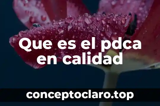 Administracion de activos extranjeros que es 8 Que es el pdca en calidad