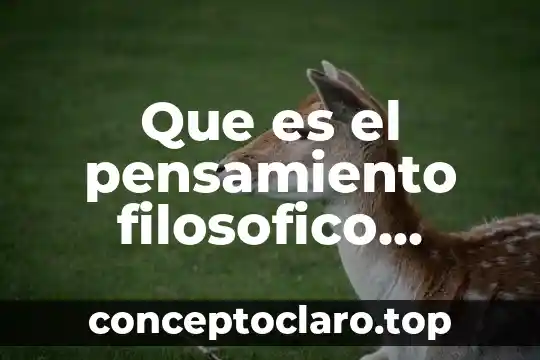 Que es el pensamiento etico 8 Que es el pensamiento filosofico yahoo