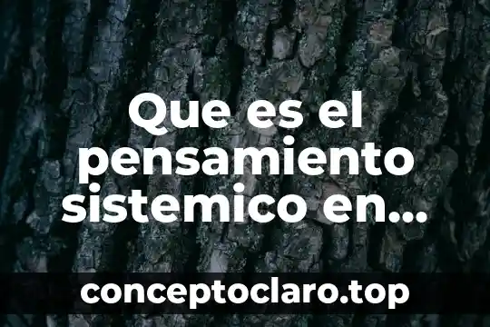 Que es el pensamiento sistemico en las organizaciones