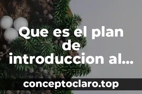 Qué es el mercado internacional de capitales 4 Que es el plan de introduccion al mercado