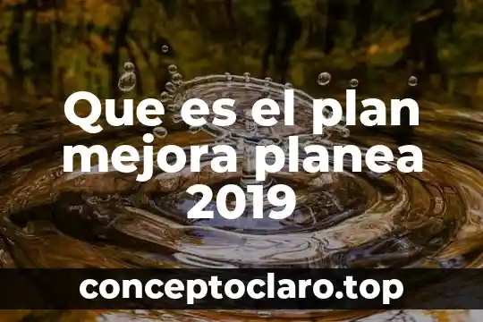 Que es el plan mejora planea 2019