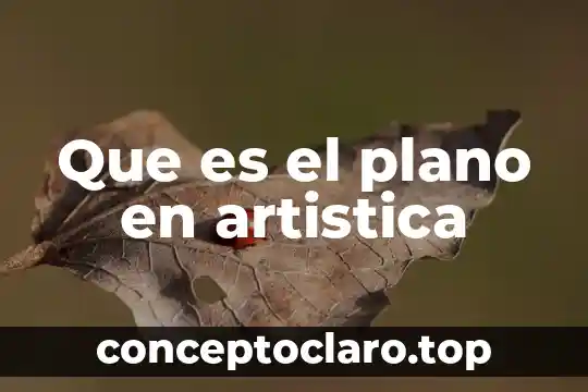 Que es el plano en artistica