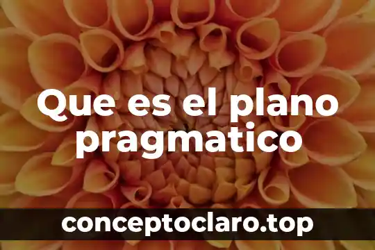 Que es el plano pragmatico