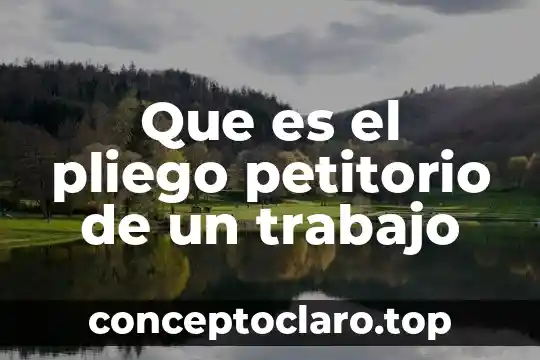 Que es el pliego petitorio de un trabajo