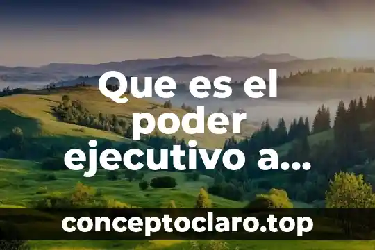 Que es el poder ejecutivo a nivel local