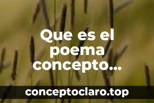 Qué es óxido básico y cómo se forma 3 Que es el poema concepto basico