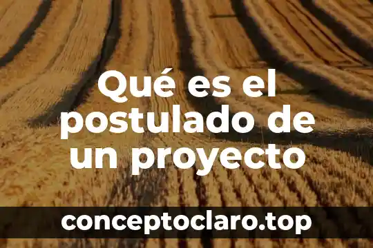 Que es el nombre de un proyecto 3 Qué es el postulado de un proyecto