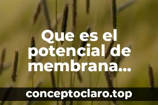 Que es el potencial de membrana bases biologicas
