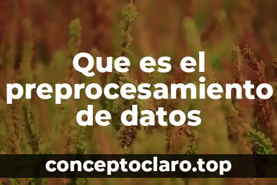 Qué es lineamientos en los datos 7 Que es el preprocesamiento de datos