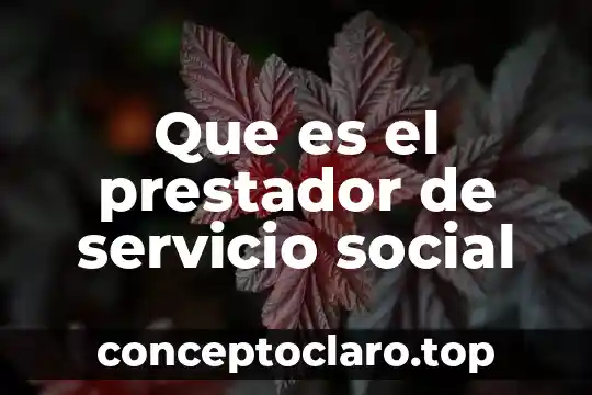 Que es el prestador de servicio social