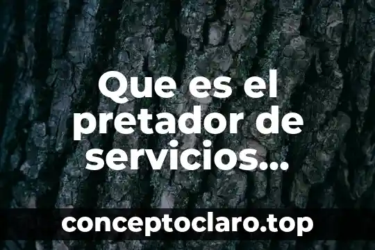 Que es el pretador de servicios turisticos