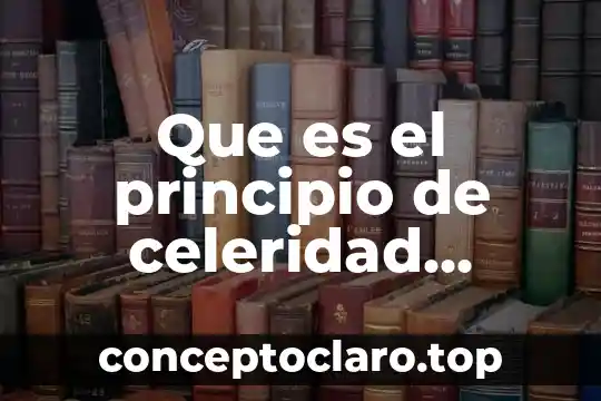 Que es el principio de celeridad procesal penal