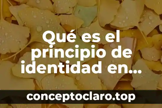 Qué es el principio de identidad en lógica