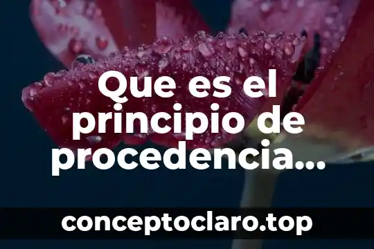 Que es el principio de procedencia documental