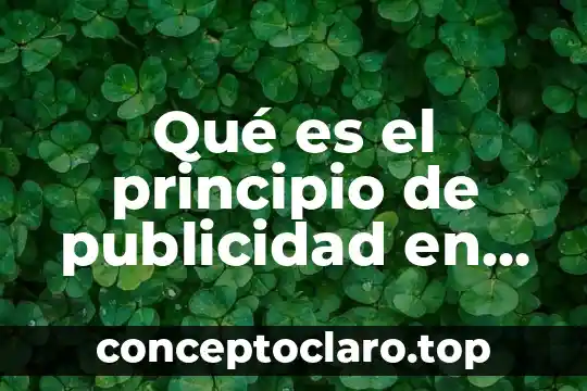 Qué es el principio de publicidad en derecho