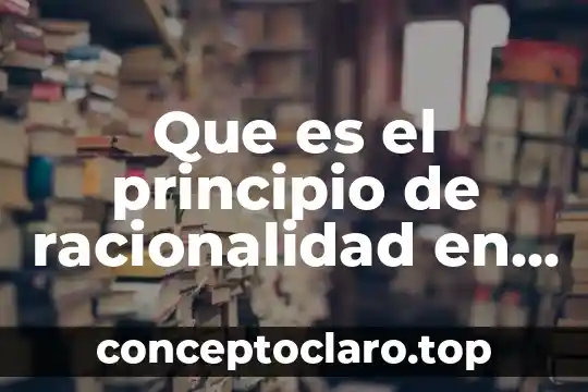Que es el principio de racionalidad en derecho
