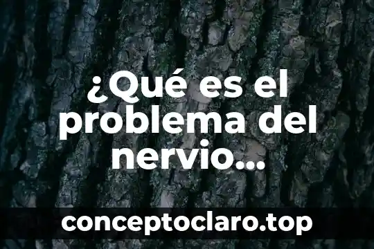 ¿Qué es el problema del nervio trigémino?