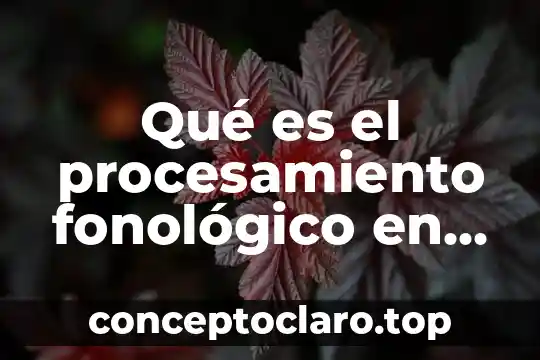 Que es el procesamiento vsp 6 Qué es el procesamiento fonológico en la lectura