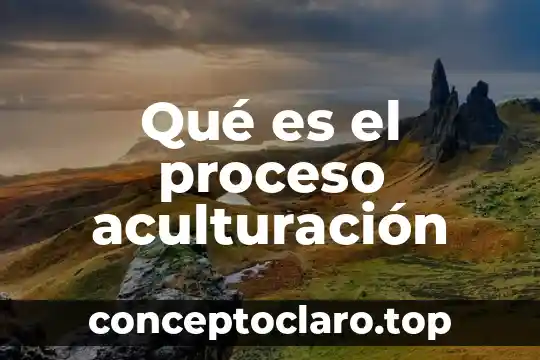Que es un proceso de cicatrizacion y sus fases 8 Qué es el proceso aculturación
