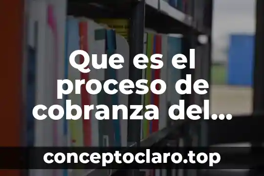 Que es un proceso de cicatrizacion y sus fases 7 Que es el proceso de cobranza del credito