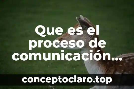 Que es un proceso de cicatrizacion y sus fases 4 Que es el proceso de comunicación en que consiste
