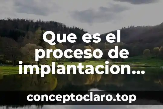 Que es el proceso de implantacion de sistema de investigacion