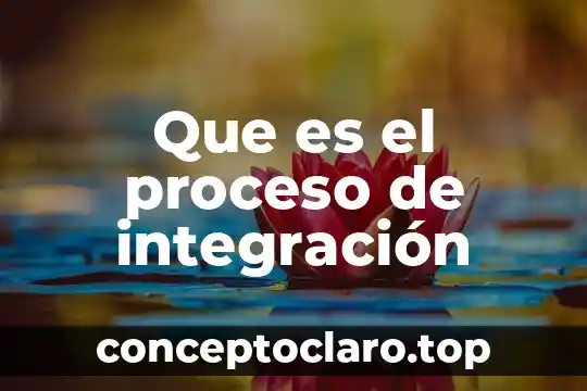 Que es el proceso de integración