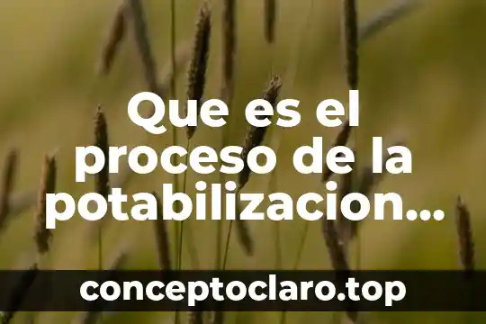 Que es el proceso de la potabilizacion del agua