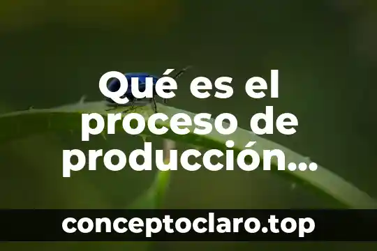 Qué es el proceso de producción agrícola vegetal