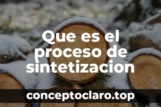 Que es el proceso de sintetizacion