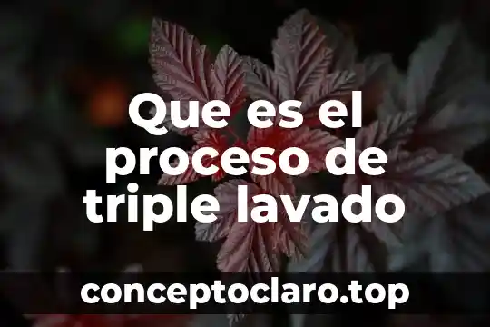 Que es el proceso de triple lavado