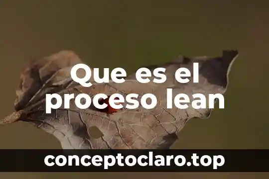 Que es el proceso lean
