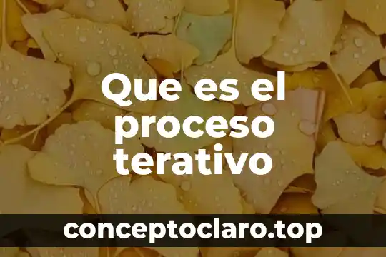 Que es el proceso terativo