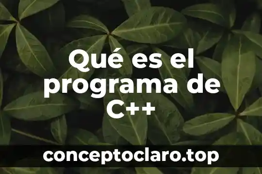 Qué es el programa de C++