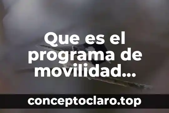 Que es el programa de movilidad academica nacional o internacional