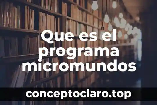 Que es el programa de au pair 8 Que es el programa micromundos