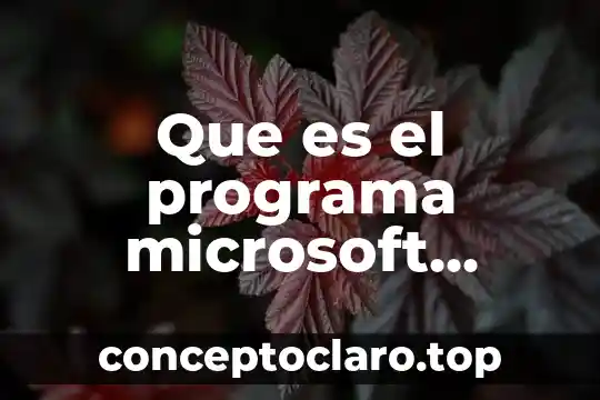 Que es el programa de au pair 7 Que es el programa microsoft silverlight