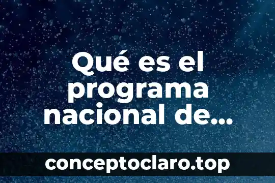 Qué es el programa nacional de normalización