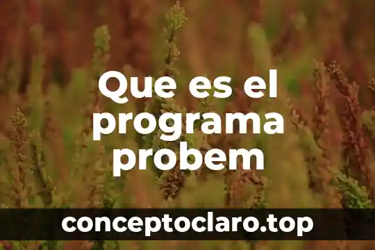 Qué es la fecha de transmisión de un programa 3 Que es el programa probem
