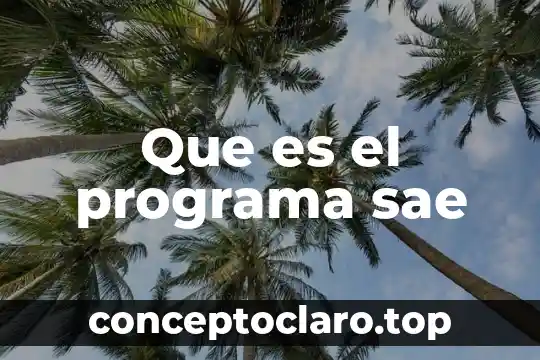 Que es el programa sae