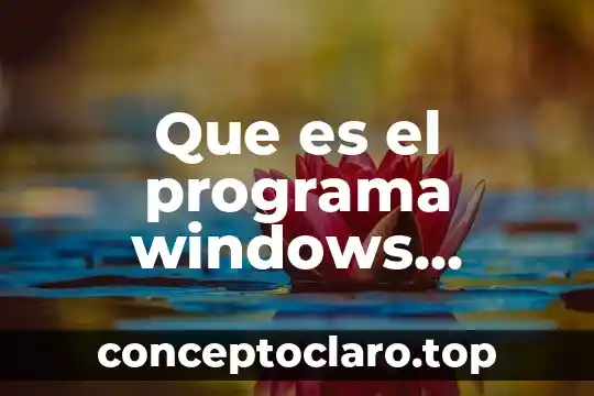 Qué es la emoción y tipos de emociones 5 Que es el programa windows insider