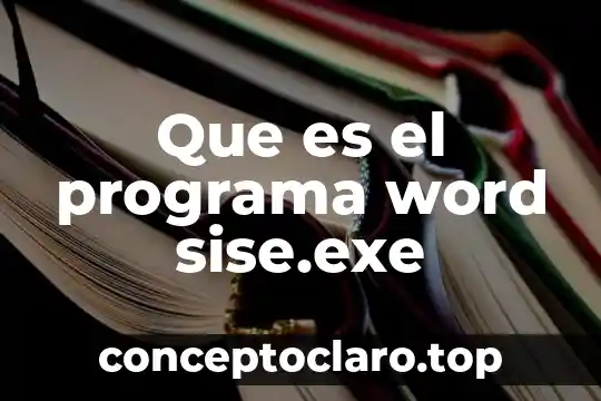 Que es el programa word sise.exe