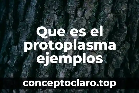 Que es la connotación con ejemplos 3 Que es el protoplasma ejemplos