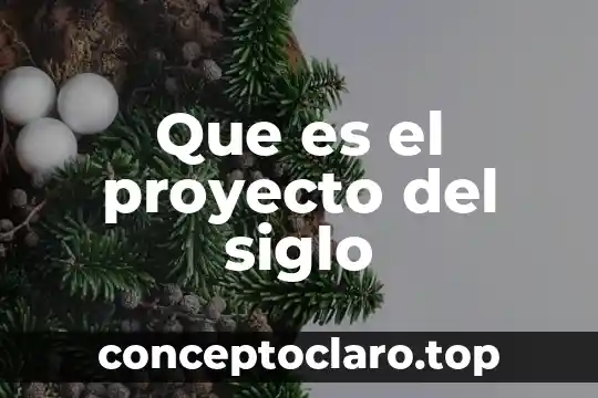 Que es el nombre de un proyecto 7 Que es el proyecto del siglo