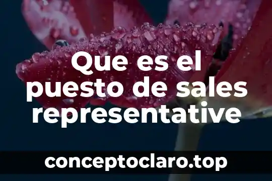 Que es el puesto de sales representative
